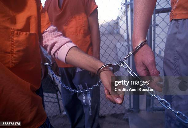 Prison Chain Types Prisoners in Phoenix, AZ, jails are routinely chained during... News ...