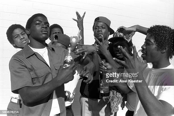 Grape Street Watts members pose with a bottle of Silver Satin liquor which they drink mixed with grape Cool-Aid . The Grape Street Watts Crips are a...