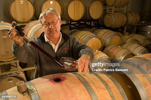 wine maker barrel testing red wine - wine barrel sample stock pictures, royalty-free photos & images