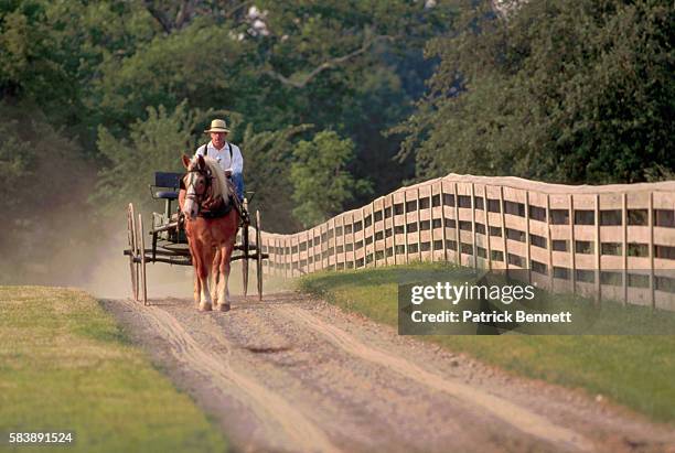 amish carriage driver - amish stock-fotos und bilder