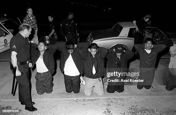 Los Angeles Gangs Fotografías e imágenes de stock - Getty Images