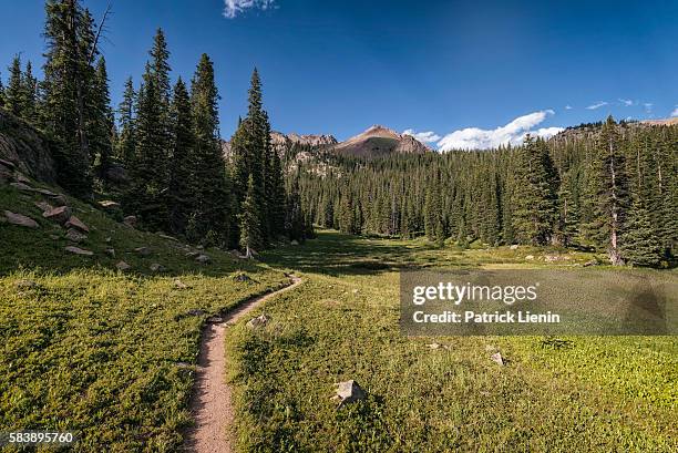 eagles nest wilderness, colorado - continental divide stock pictures, royalty-free photos & images