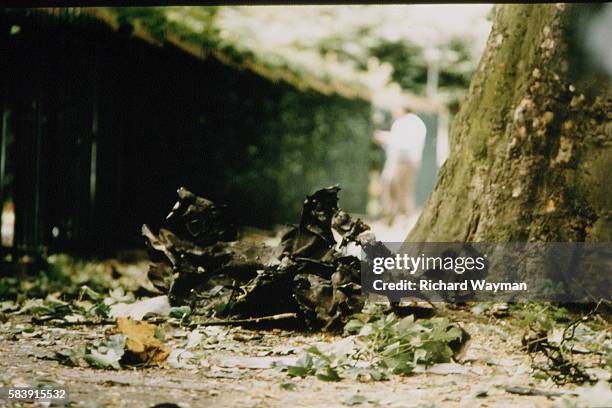 1994 London Israeli Embassy Bombing Photos And Premium High Res 1994-london-israeli-embassy-bombing-photos-and-premium-high-res