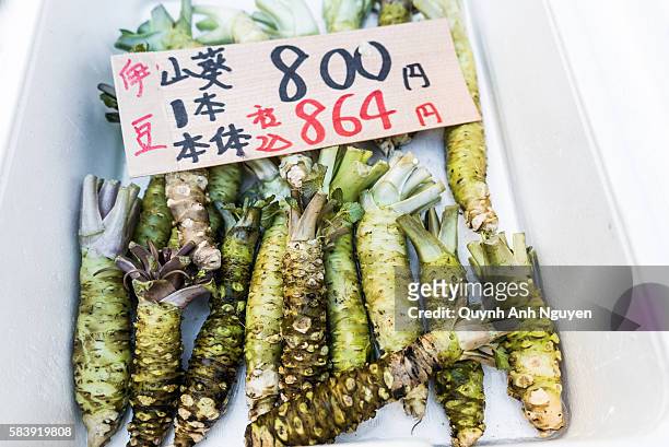 japan -  fresh wasabi (japanese horseradish) for sale - fresh wasabi stockfoto's en -beelden