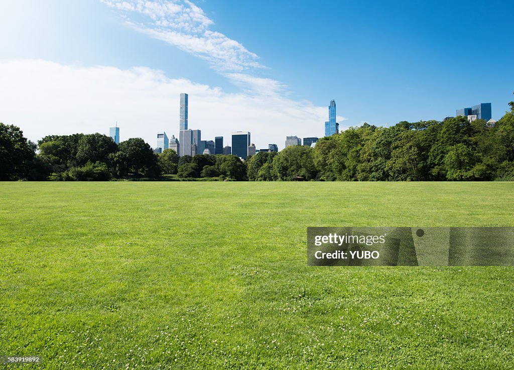 Central Park-Grassland