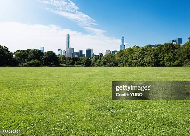 central park-grassland - stadspark stockfoto's en -beelden