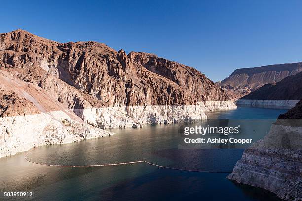 lake mead at exceptionally low levels following the four year long drought, with the obvious level that the lake used to be at, nevada, usa. - mead stock pictures, royalty-free photos & images
