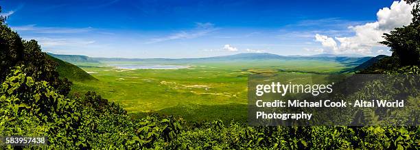 ngorongoro crater - ngorongoro conservation area stock pictures, royalty-free photos & images