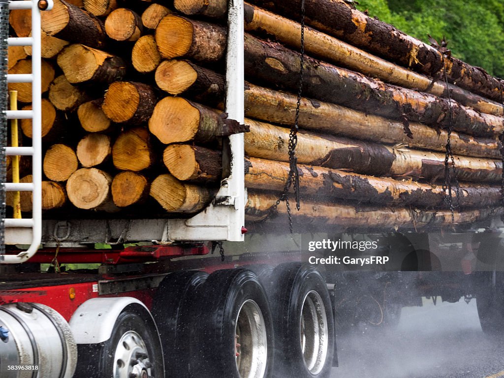 Loaded Log Truck Rural Road Port Angeles Washington State Close-up