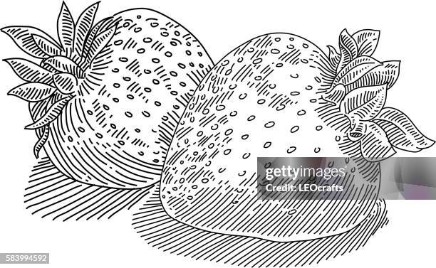 strawberry drawing - imperfect fruit stock illustrations