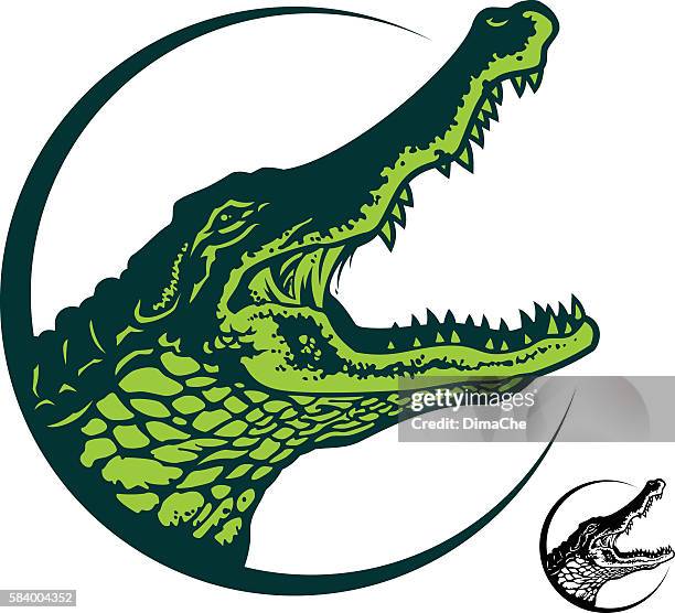 stockillustraties, clipart, cartoons en iconen met alligator - in het water levend