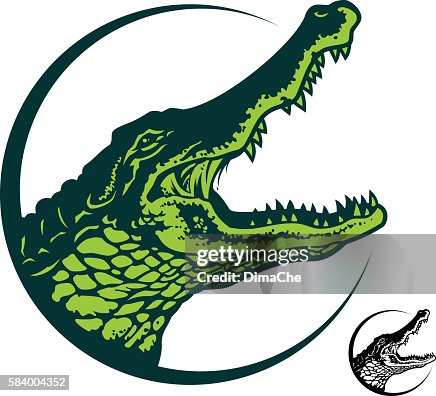 Red Aligator Vector Alligator High-Res Vector Graphic - Getty Images