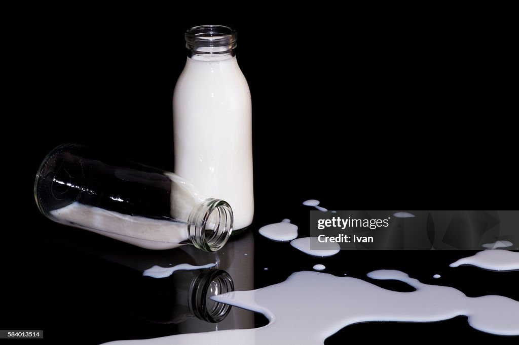 The Splashing Milk with Reflection