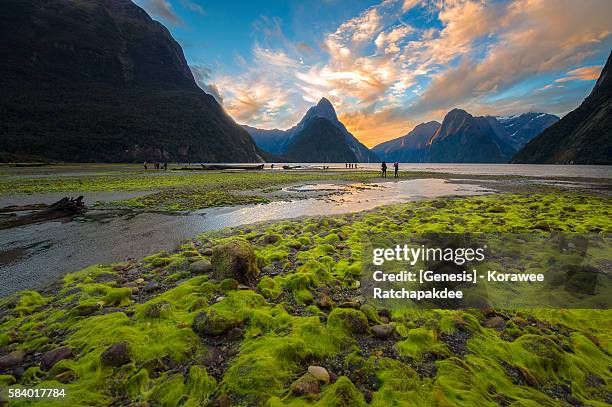 the beautiful sunset sky at milford sound with the tourist - southern rock stock pictures, royalty-free photos & images