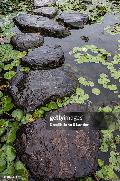 Stepping stones are called tobi-ishi in Japanese, literally skipping stones or flying stones. Walking on a stepping stone pathway the visitor has to...