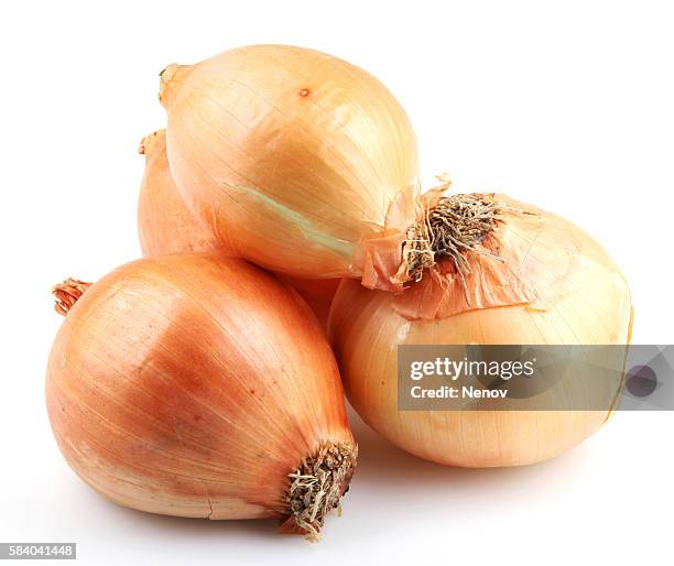 onion white background - cipolla foto e immagini stock