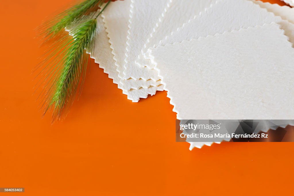 Cannelloni pasta on orange background. Copy space