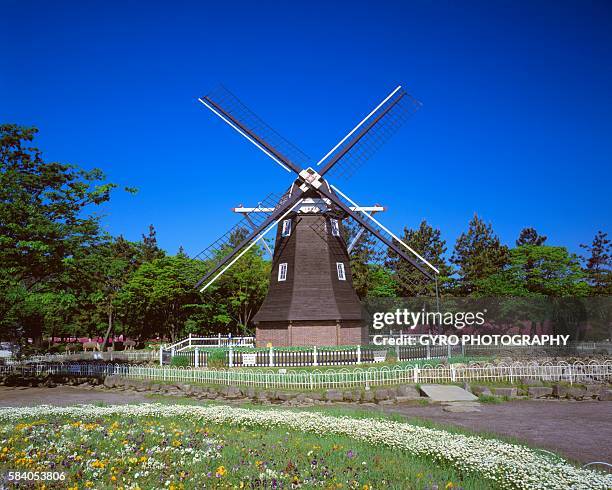 windmill in garden, meiji park, aichi prefecture, japan - nagoya stock pictures, royalty-free photos & images