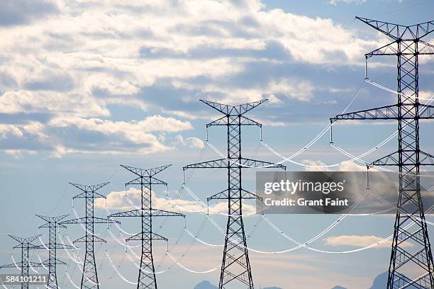 electricity lines at sunset - 送電鉄塔 ストックフォトと画像