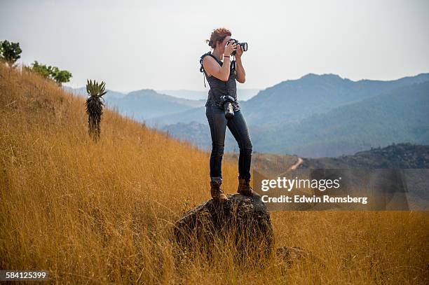 photographer in africa - photographer 個照片及圖片檔