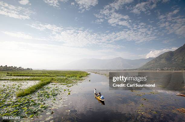 dal lake - dal lake stock pictures, royalty-free photos & images