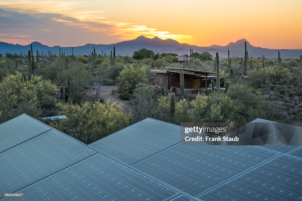 Solar panels at sunset