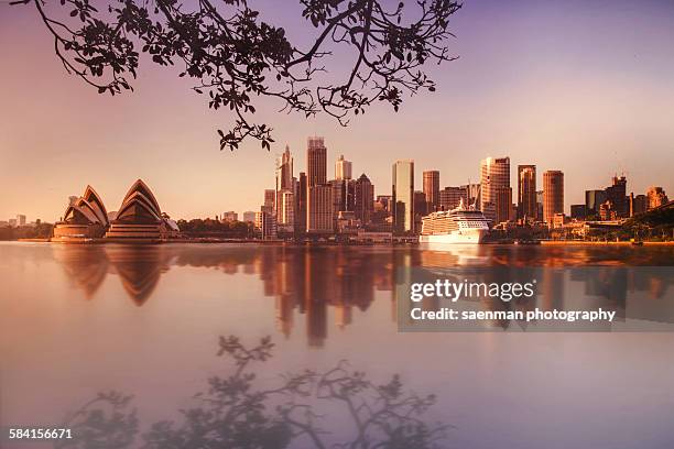 sydney city - sydney dawn stock pictures, royalty-free photos & images