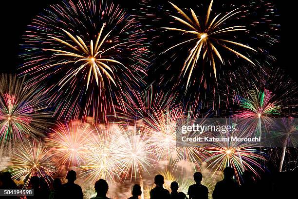 fireworks and audience - fireworks stock-fotos und bilder