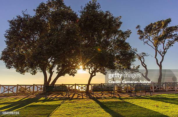 sunset and benches at park overlooking ocean in santa monica - santa monica los angeles bildbanksfoton och bilder