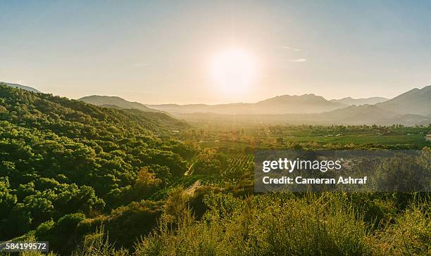 views of the ojai valley and citrus trees from ojai, california - lemon fruit stock-fotos und bilder