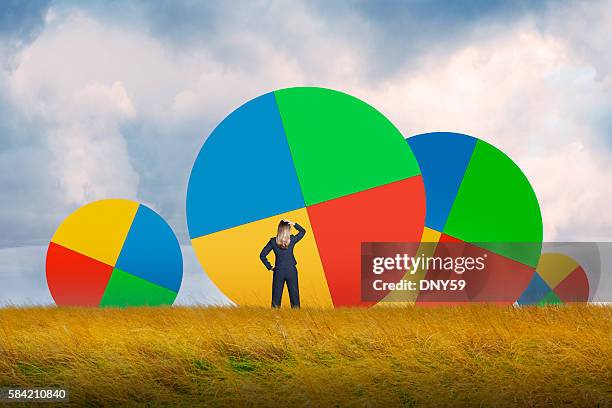 businesswoman in grassy field looking at pie charts - cirkeldiagram stockfoto's en -beelden