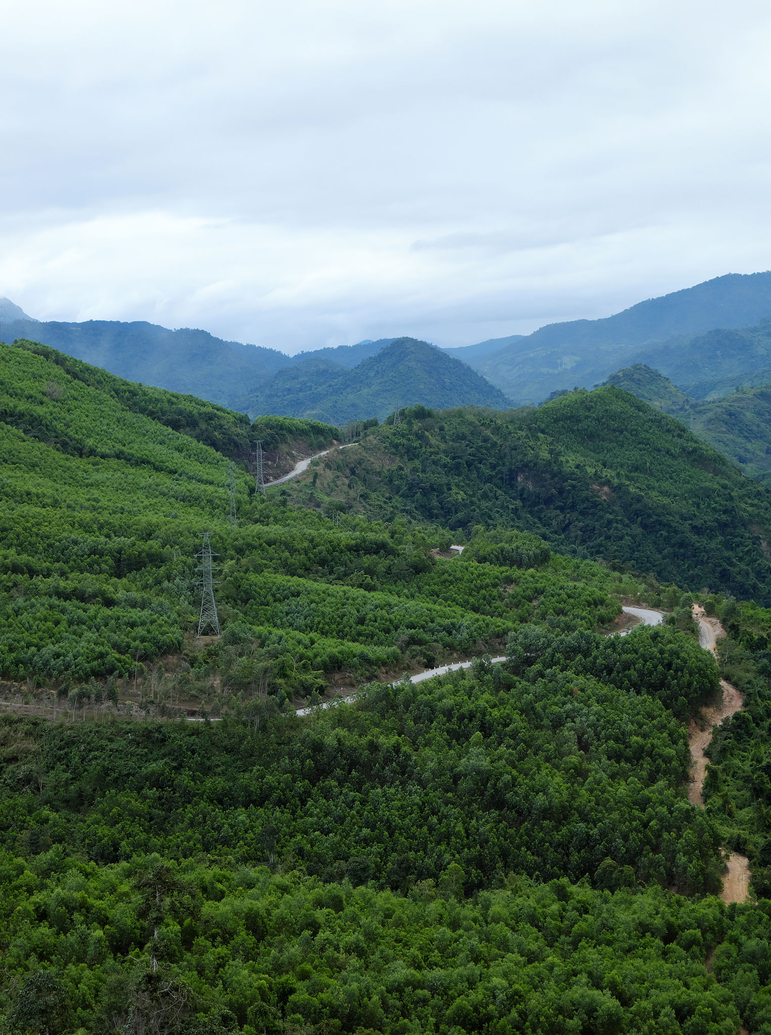 Ho Chi Minh trail, forest in mountain Ho Chi Minh trail, forest in mountain