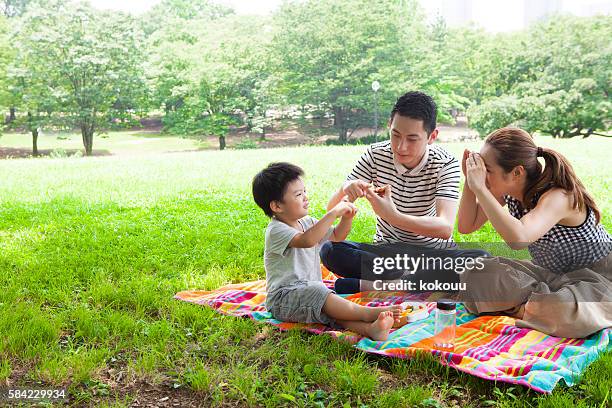 parents and children enjoying a picnic in the park - lunch bag stock pictures, royalty-free photos & images