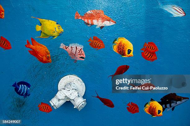 26点の金目鯛イラスト素材 Getty Images 26点の金目鯛イラスト素材 Getty Images