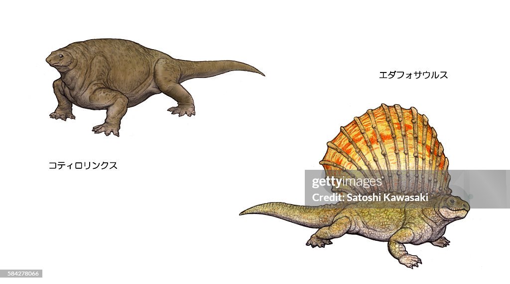 Illustration of dinosaurs from Permian period
