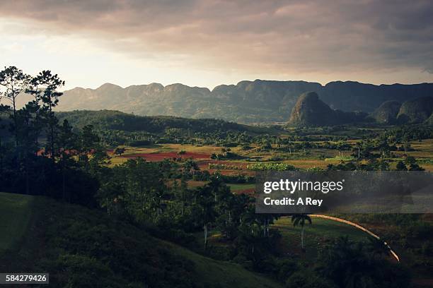 vinales - vinales stockfoto's en -beelden