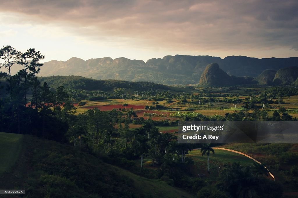 Vinales