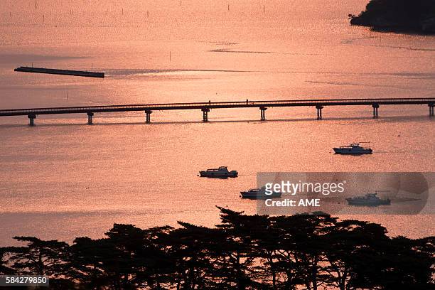 matsushima bay at dawn, miyagi prefecture, honshu, japan - higashimatsushima stock pictures, royalty-free photos & images
