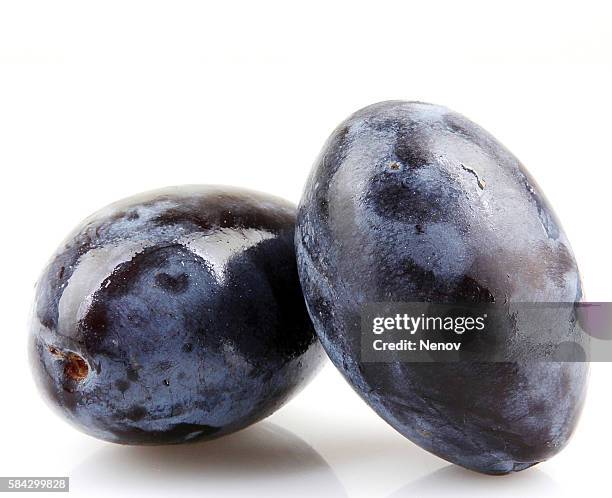 plums on a white background - plum stock pictures, royalty-free photos & images