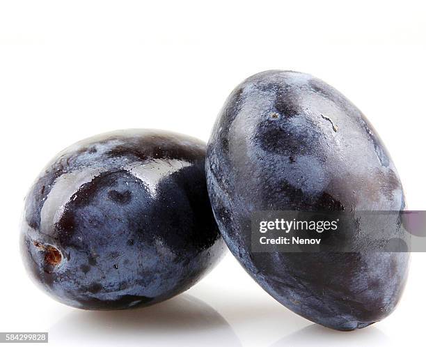 plums on a white background - plums isolated stock pictures, royalty-free photos & images