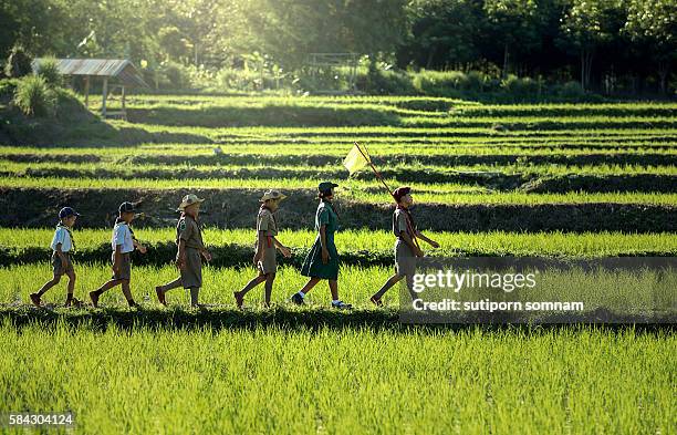 scouts parade - very young thai girls stock pictures, royalty-free photos & images