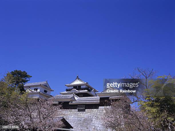 matsuyama castle and cherry blossoms, matsuyama city, ehime prefecture, japan - matsuyama ehime stock pictures, royalty-free photos & images