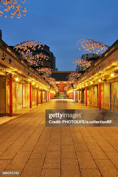 nakasime street at night - sensoji temple stock pictures, royalty-free photos & images