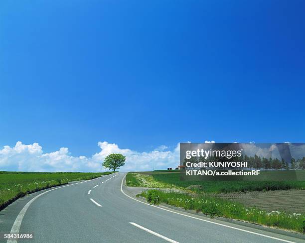 road passing through green fields - biei town stock pictures, royalty-free photos & images
