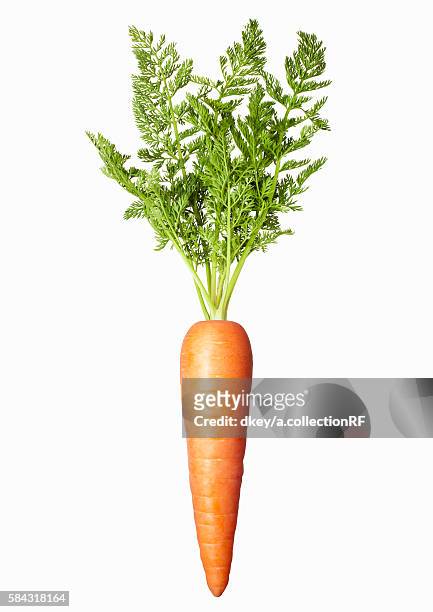 single carrot - carrot isolated stock pictures, royalty-free photos & images