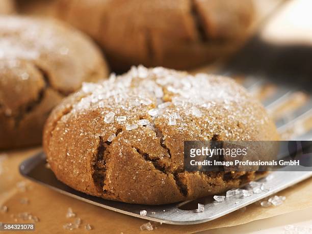 close up of a molasses cookie sprinkled with sugar on a spatula - molasses stock pictures, royalty-free photos & images