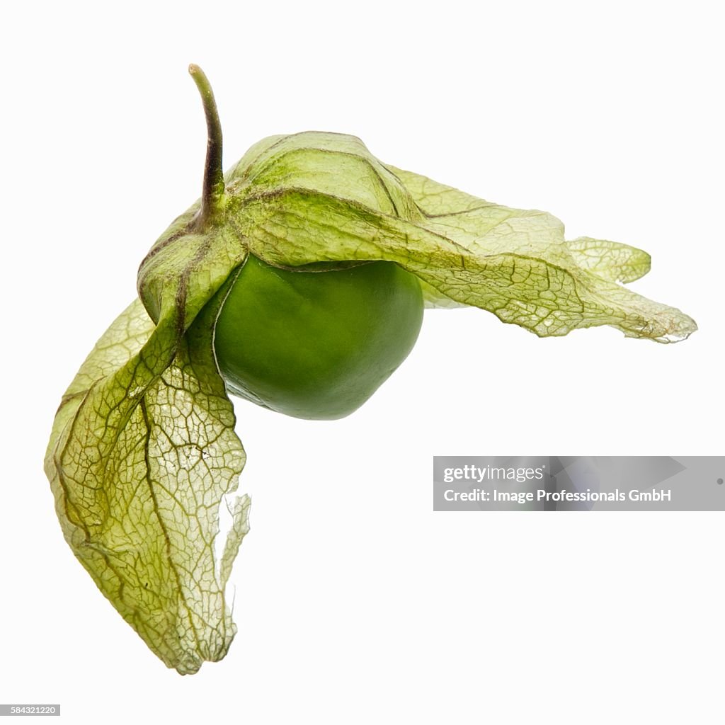 Tomatillo