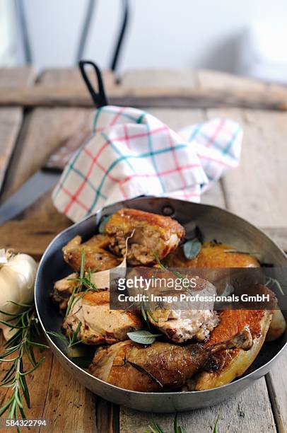 fried guinea fowl with rosemary and sage - guinea fowl stock-fotos und bilder