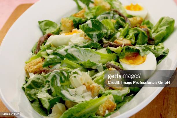 caesar salad with egg - kopfsalat stock-fotos und bilder