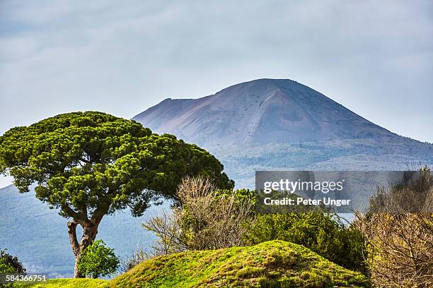 mt vesuvius in background of pompeii - mt vesuvius fotografías e imágenes de stock